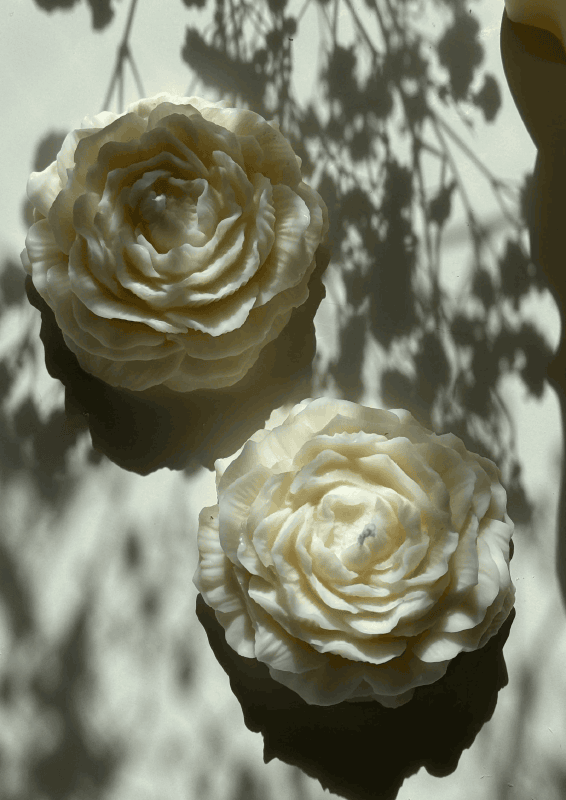 Olive Gergel Peony Eco Soy Candle - Mirrors Beauty