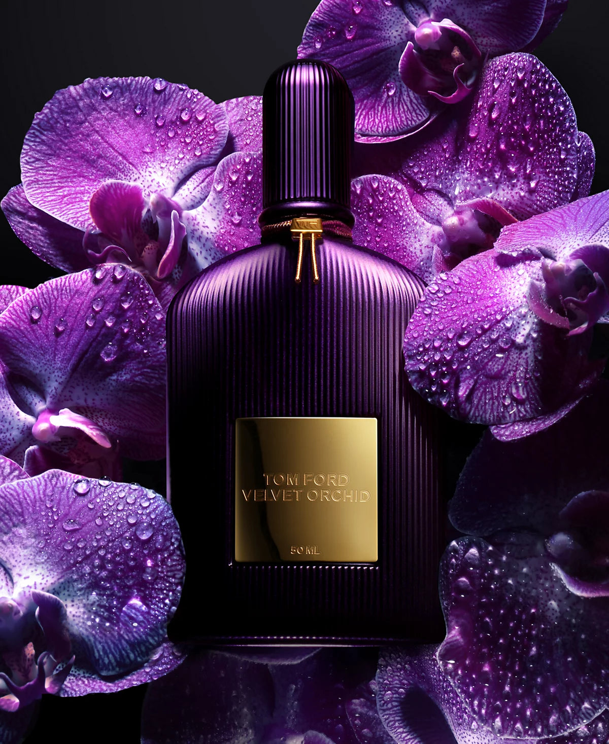 Tom Ford Velvet Orchid Eau De Parfum - Mirrors Beauty