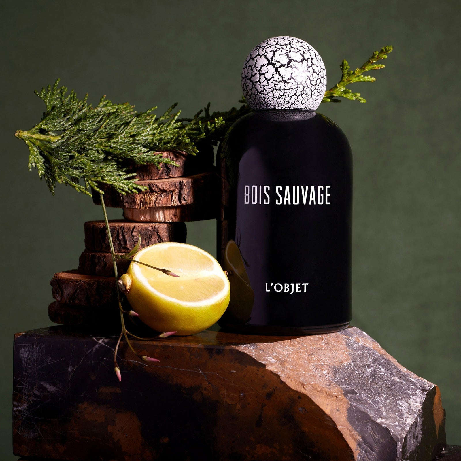 L.objec Bois Sauvage Eau de Parfum - 100ml / 3.4fl.oz - Mirrors Beauty