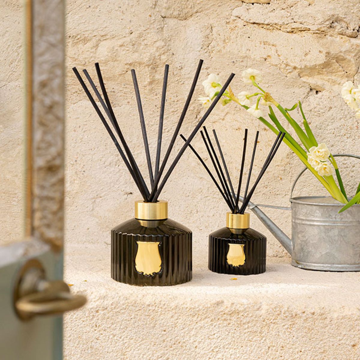 Trudon Ernesto, Leather and Tobacco Diffuser - Mirrors Beauty
