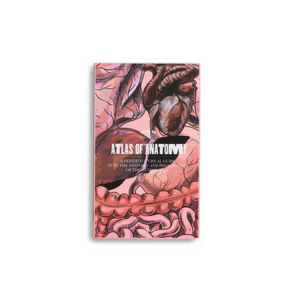 Made By Mitchell Mini Blursh Book Blusher Palette