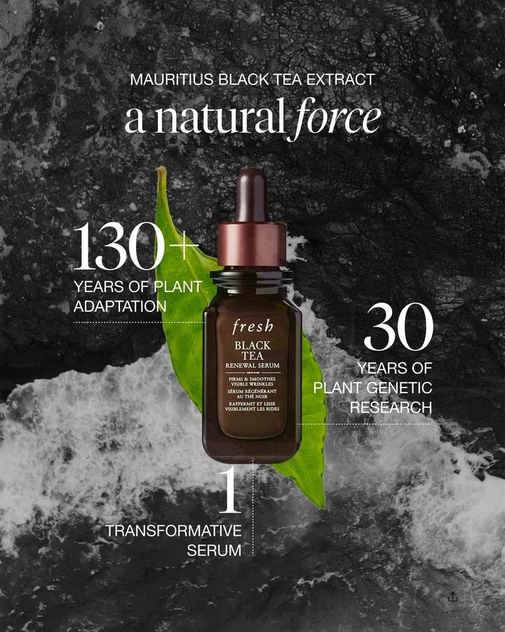 Fresh Black Tea Renewal Serum