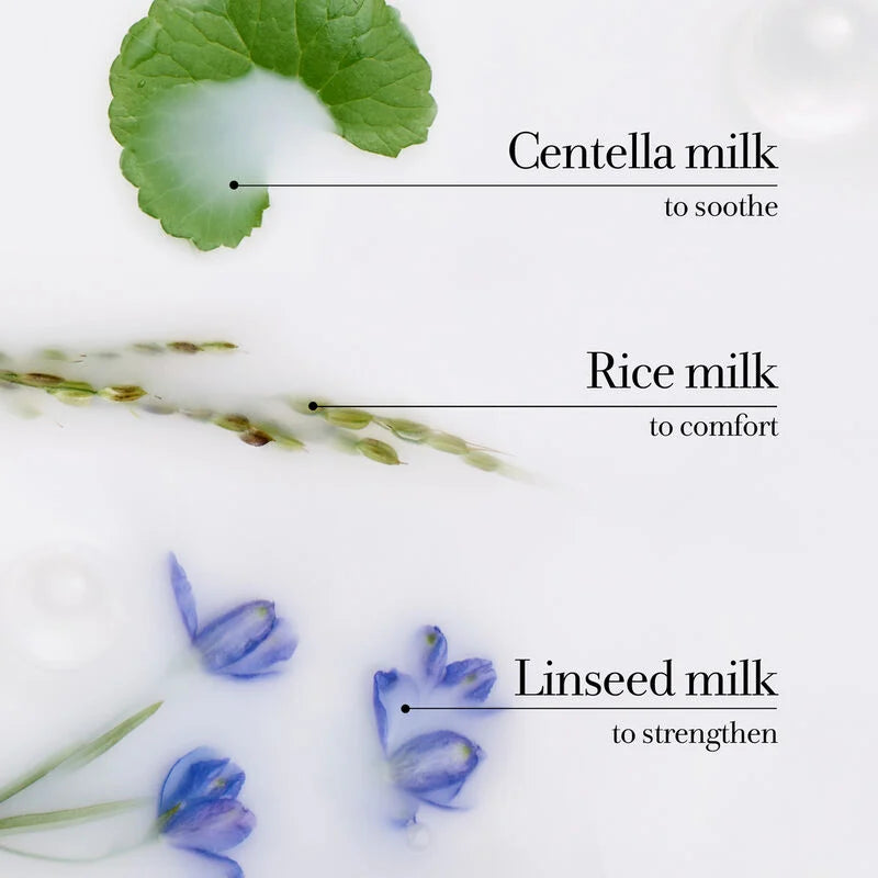 FRESH Milk Body Cleanser - Mirrors Beauty