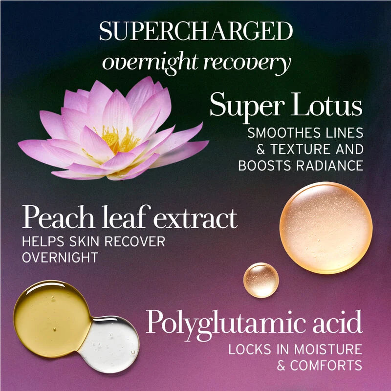 FRESH Lotus Youth Preserve Dream Face Cream - Mirrors Beauty