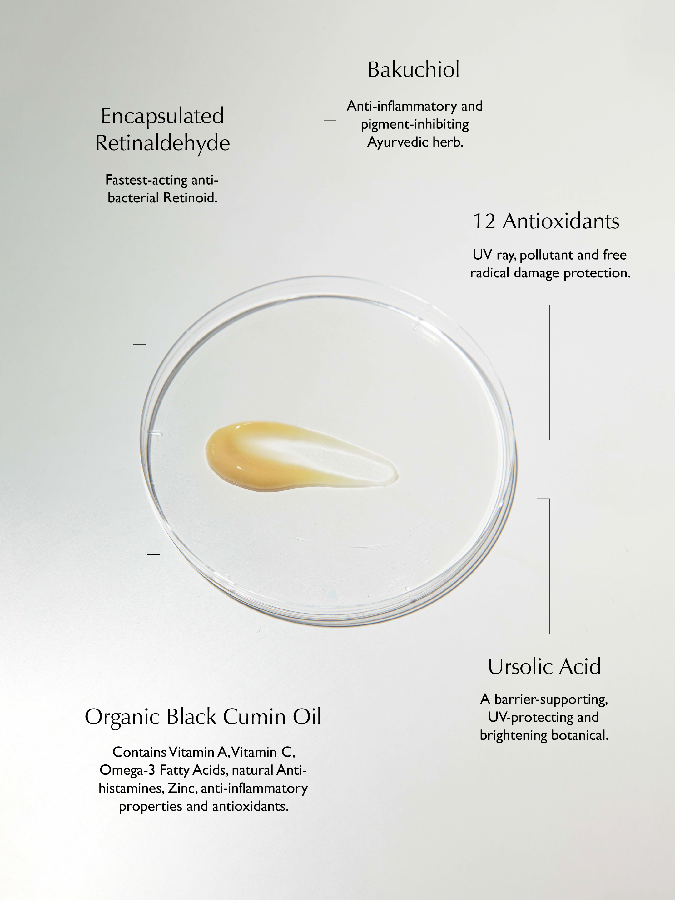 SACHI STATES OF SKIN Ursolic Acid & Retinal Overnight Reform