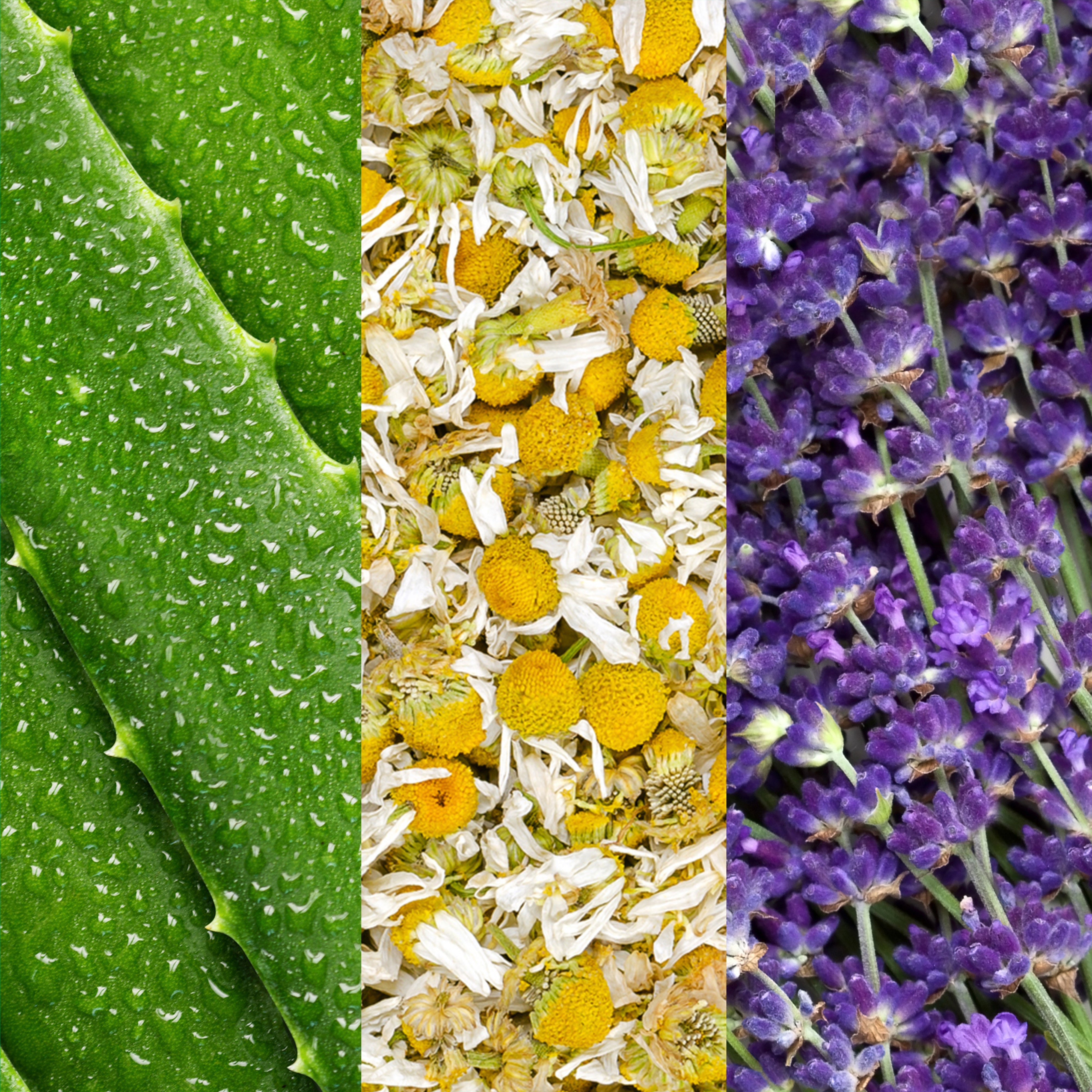 Mario Badescu FACIAL SPRAY W/ ALOE, CHAMOMILE & LAVENDER