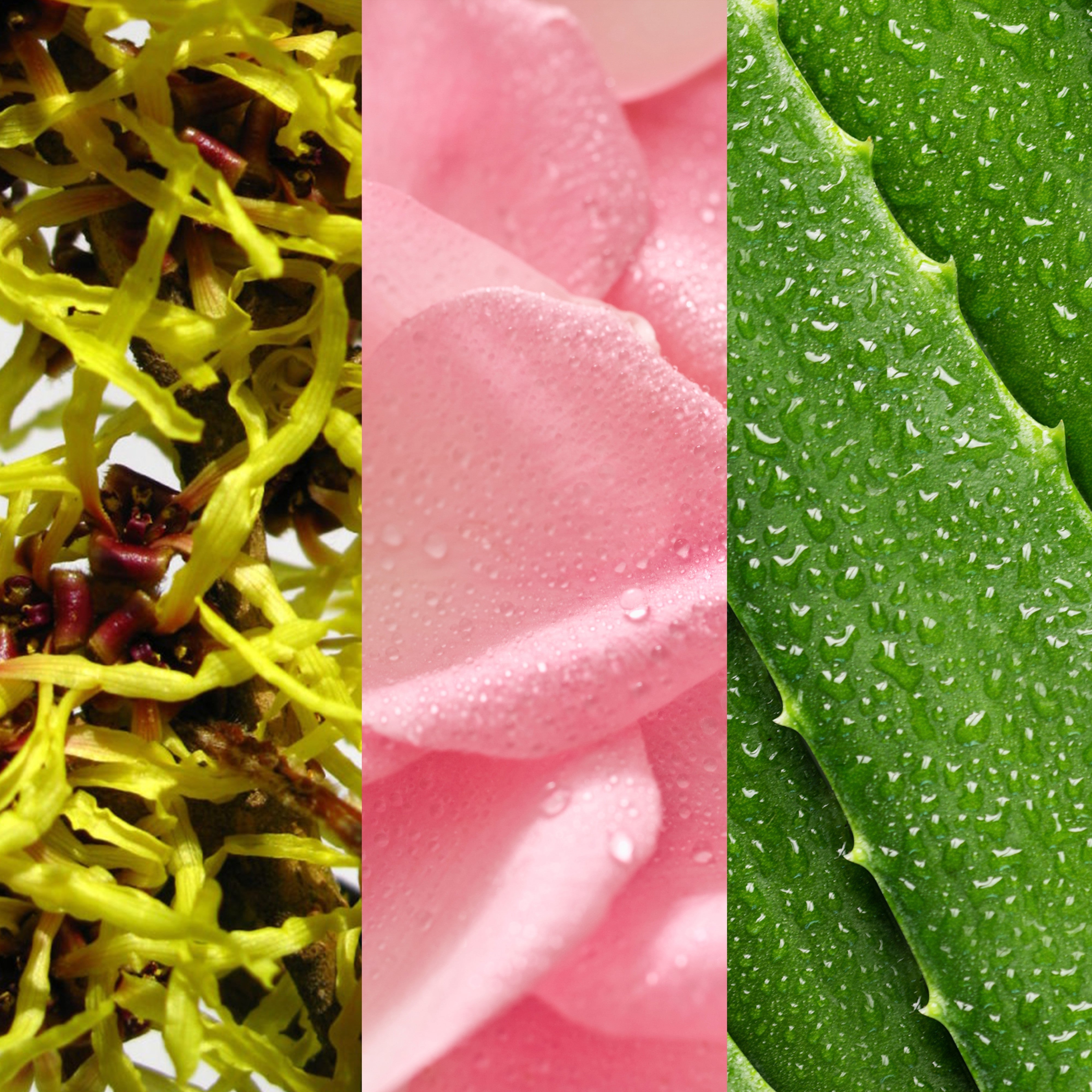 Mario Badescu Witch Hazel & Rose Water Toner