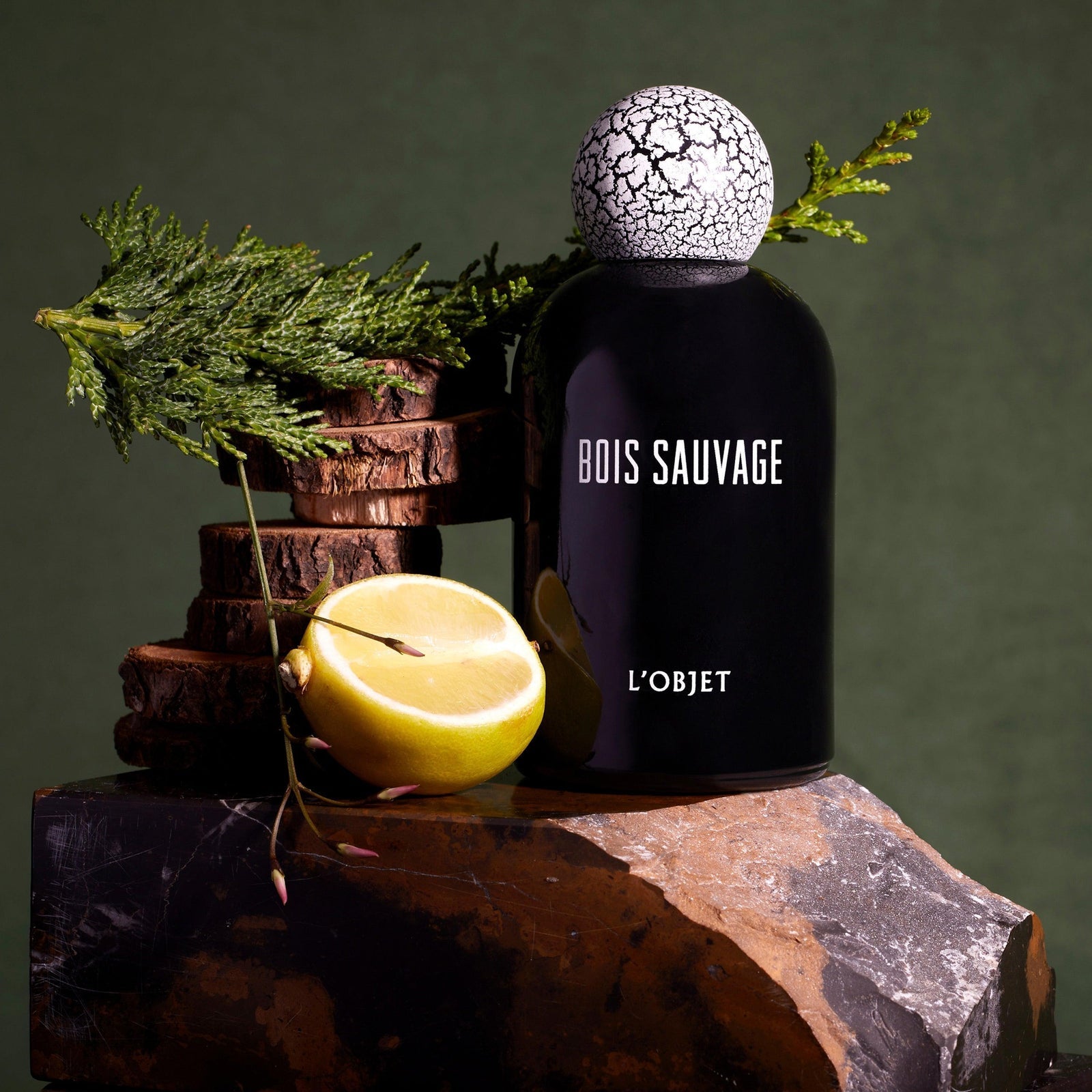 L.objec Bois Sauvage Eau de Parfum - 100ml / 3.4fl.oz